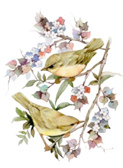 Title Ornament